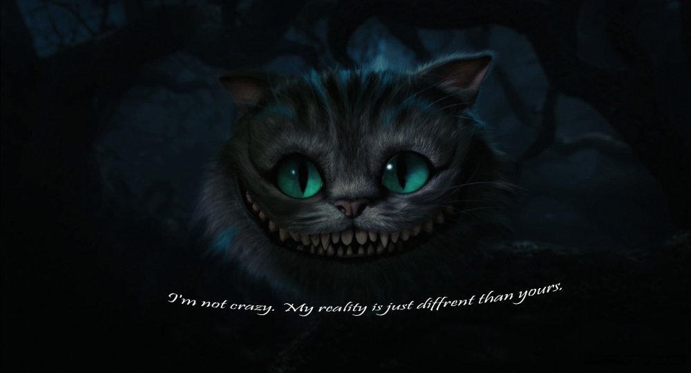 256660.thumb.jpg.e298f68476412a370f94463a18ac863e.jpg