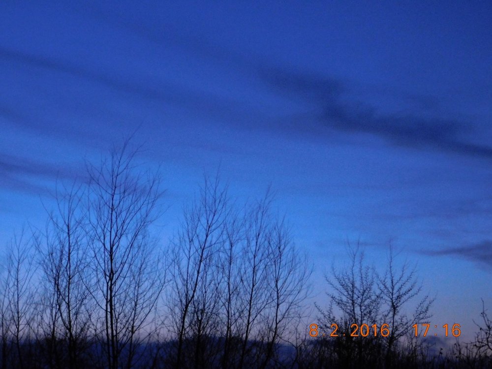 DSCN3574.thumb.JPG.ba30891458e493a7b5bbc846de1725eb.JPG